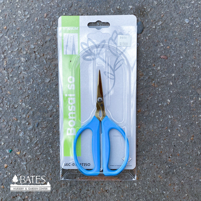  Angled Bonsai Shears / Scissors
