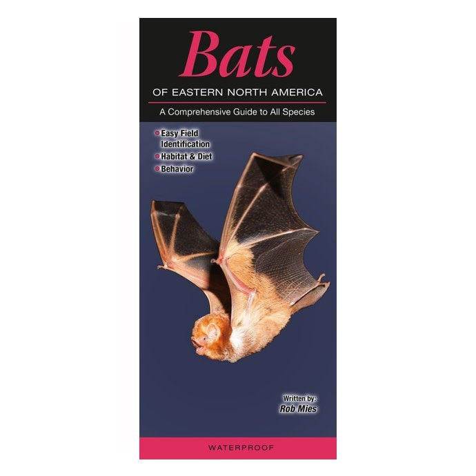  Booklet Bats Of Tennessee Quick Reference Guide