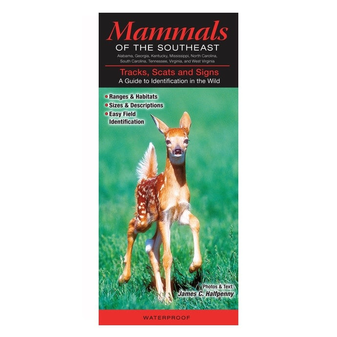  Booklet Mammals Of The Southeast Quick Reference Guide