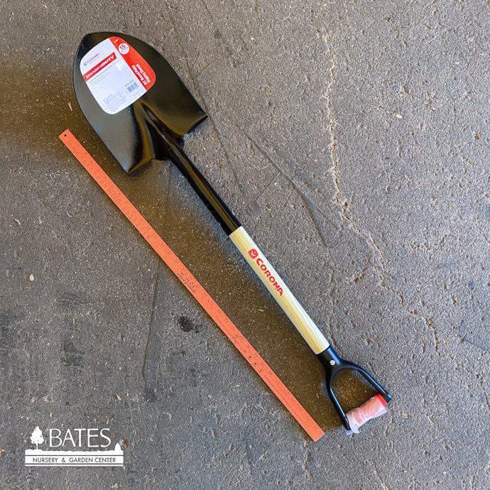  Corona Shovel #2 Round Point Wood W/D-Handle 30"