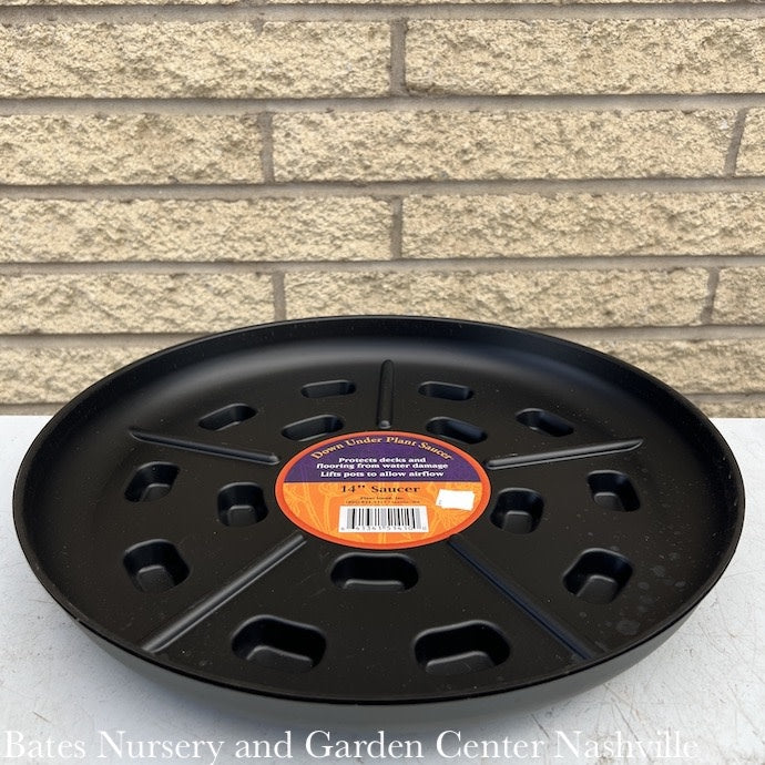  Down Under Footed Saucer 14" Black Bosmere