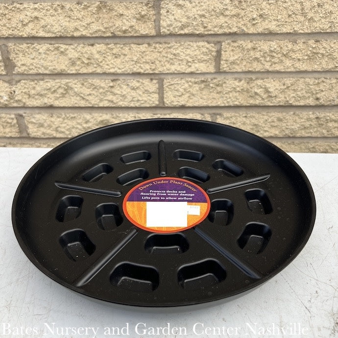  Down Under Footed Saucer 8" Black Bosmere