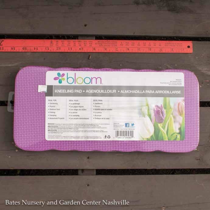  Kneeling Pad Standard Bloom Bond/Orbit