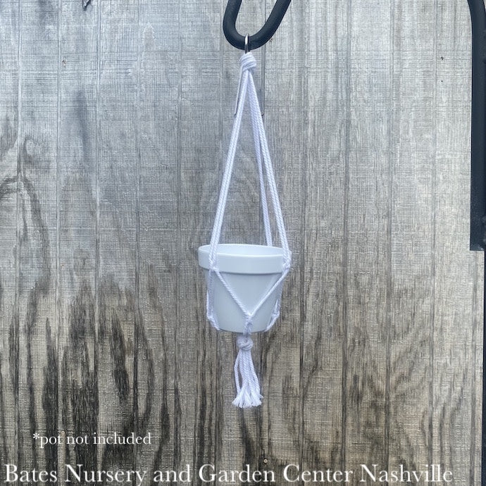  Plant Hanger 18" Macrame Mini Cotton Hanger Assorted Colors Primitive Planters