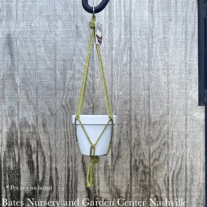  Plant Hanger 18" Macrame Mini Jute Hanger Assorted Colors Primitive Planter