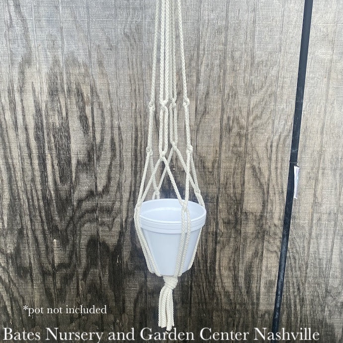  Plant Hanger 36" Macrame Asst Neutral Rope Primitive Planters
