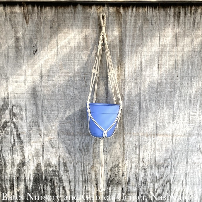  Plant Hanger 42" Macrame Cotton Woven Plain Cord Primitive Planters