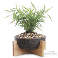  Plant Stand 9" For Succulent Bowl/Dish Wood