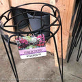 Plant Stand Hampton 15" Black Metal