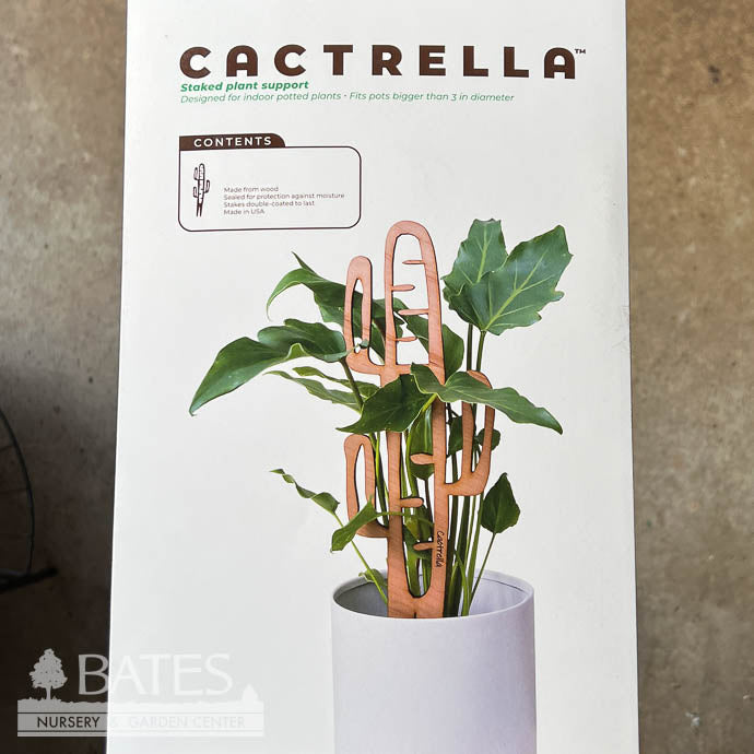 Stake Cactrella /Cactus Silhouette Grande Cherry Treleaf