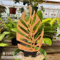  Stake Monstrella /Monstera Silhouette Regular Cherry Treleaf