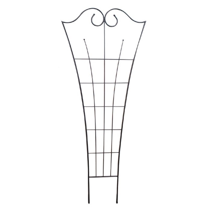  Trellis Fiddlehead 36x84 Graphite Metal
