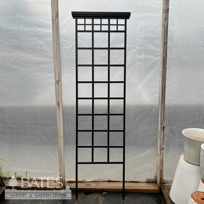  Trellis Mission Garden 78in X 21in Black Metal Panacea