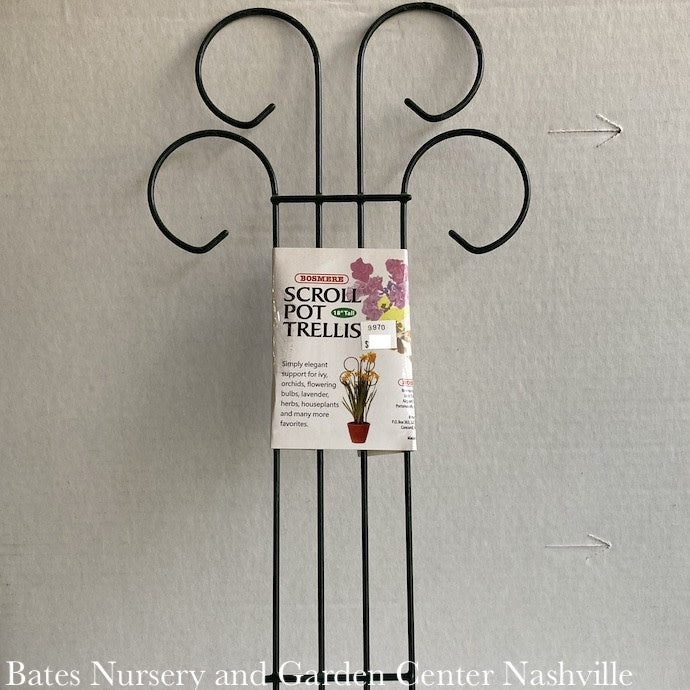  Trellis /Pot Trellis Scroll Top 18" Tall Black Metal