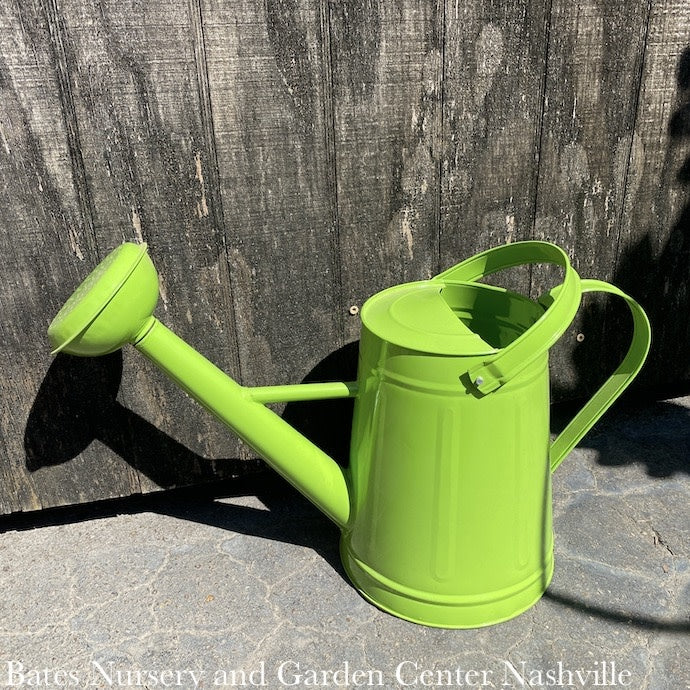  Watering Can 1.2 Gal Traditional Metal Green