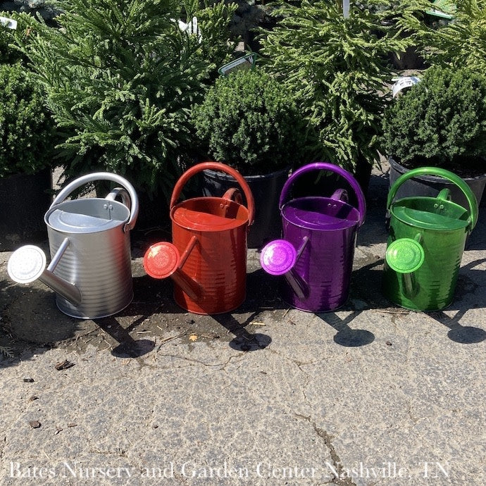  Watering Can 1Gal Traditional Metallic Colors Asst Panacea