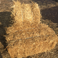  Wheat Straw Bale 8.99